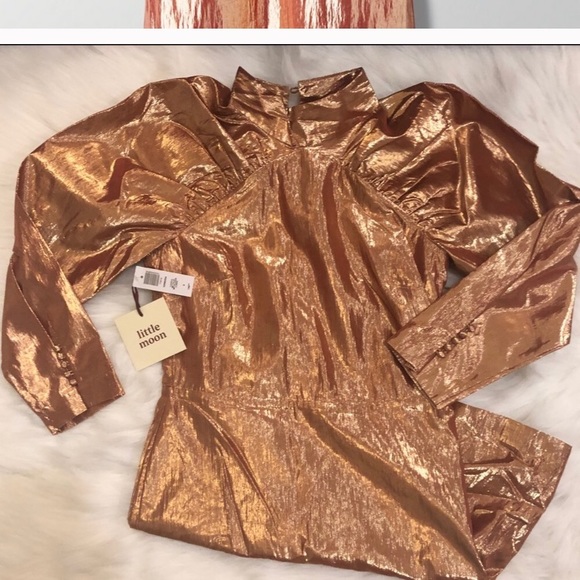 ARITZIA LITTLE MOON SANGRIA DRESS Copper Metallic - Picture 8 of 8